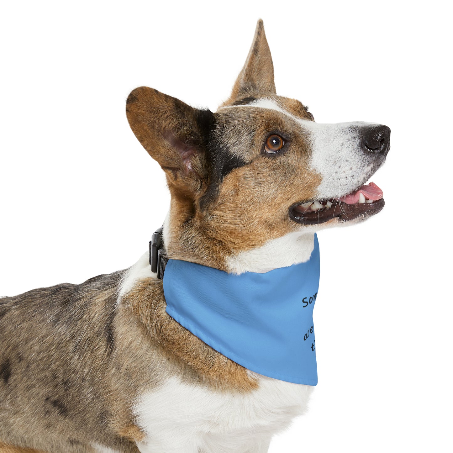 Sometimes 3 legs are better than 4 Pet Bandana Collar