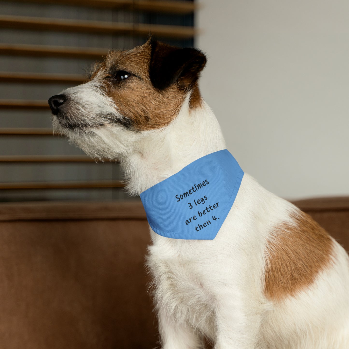 Sometimes 3 legs are better than 4 Pet Bandana Collar